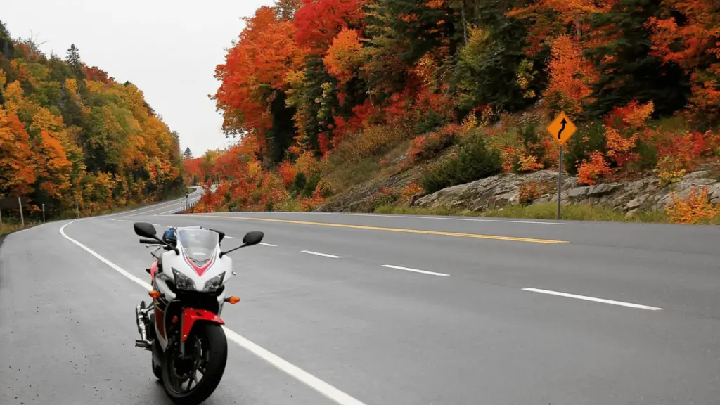 Honda CBR 600RR Bike Mod for BUSSID 20 Honda CBR 600RR Mod standing on road surrounding colourful trees